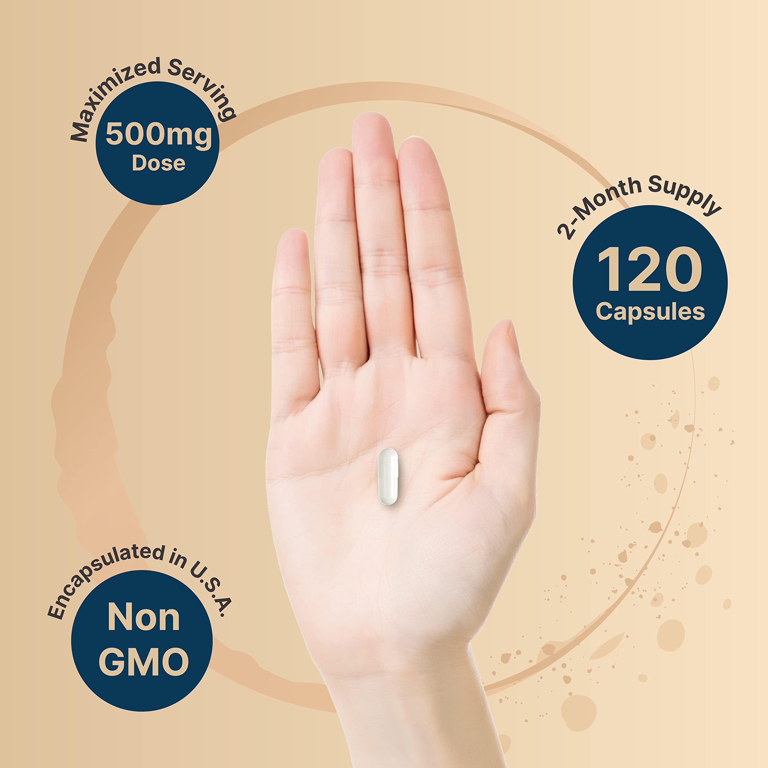NatureBell Citicoline 500mg + Tyrosine 50mg – 120 Capsules | Dual Action Brain Support