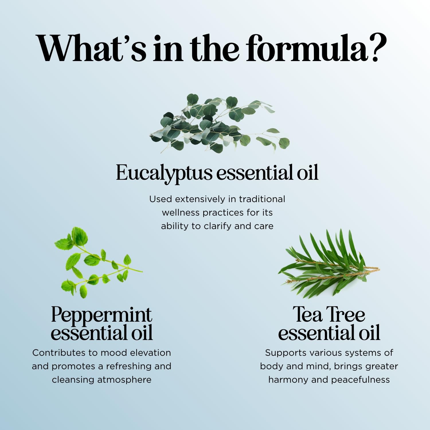 Breathe Essential Oil for Diffuser - Eucalyptus Peppermint Tea Tree Mint Blend | 1 Fl Oz