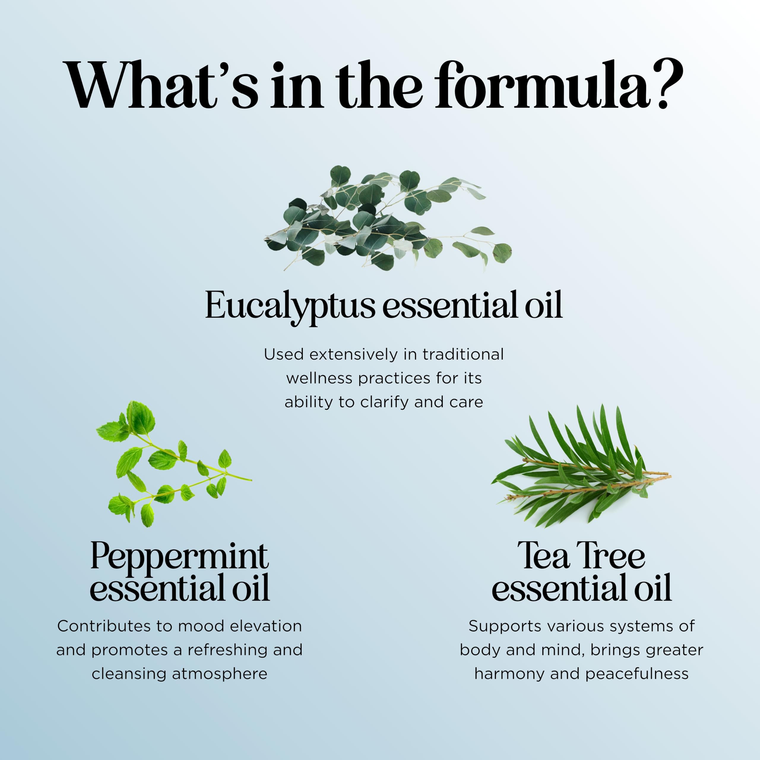 Breathe Essential Oil for Diffuser - Invigorating Eucalyptus & Peppermint (2 oz)