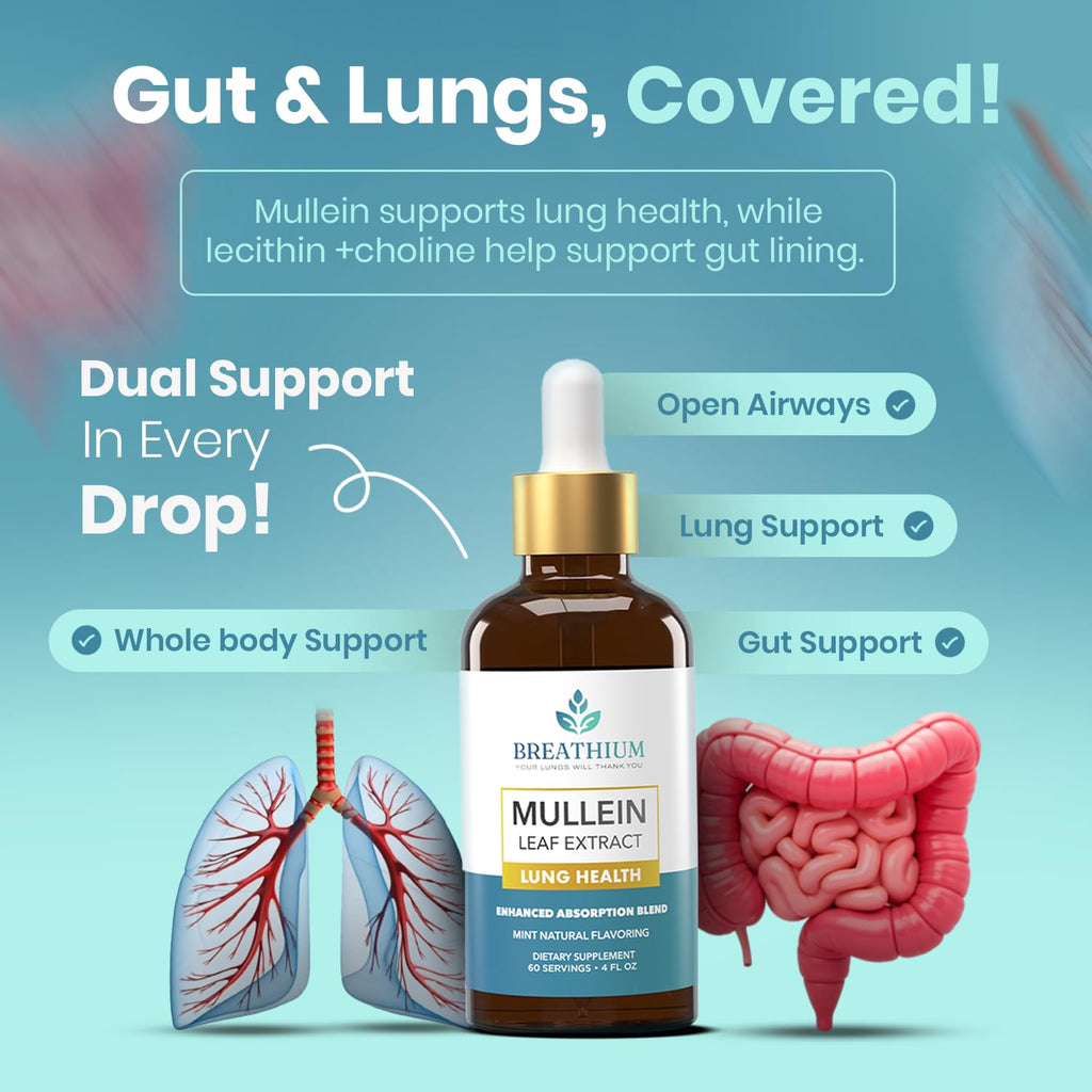 Breathium 4-in-1 Mullein Drops for Lungs & Gut Health – Liposomal Extract