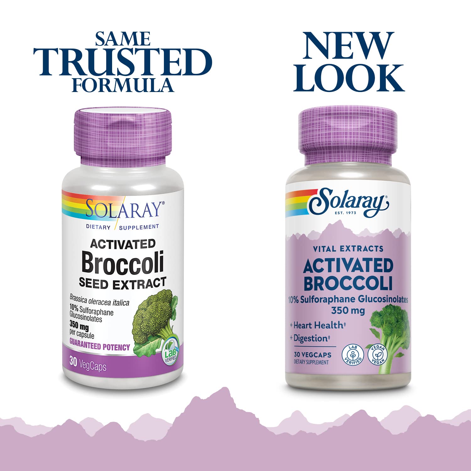 SOLARAY Activated Broccoli Seed Extract 350 mg | 10% SGS | Antioxidant & Heart Support | Vegan