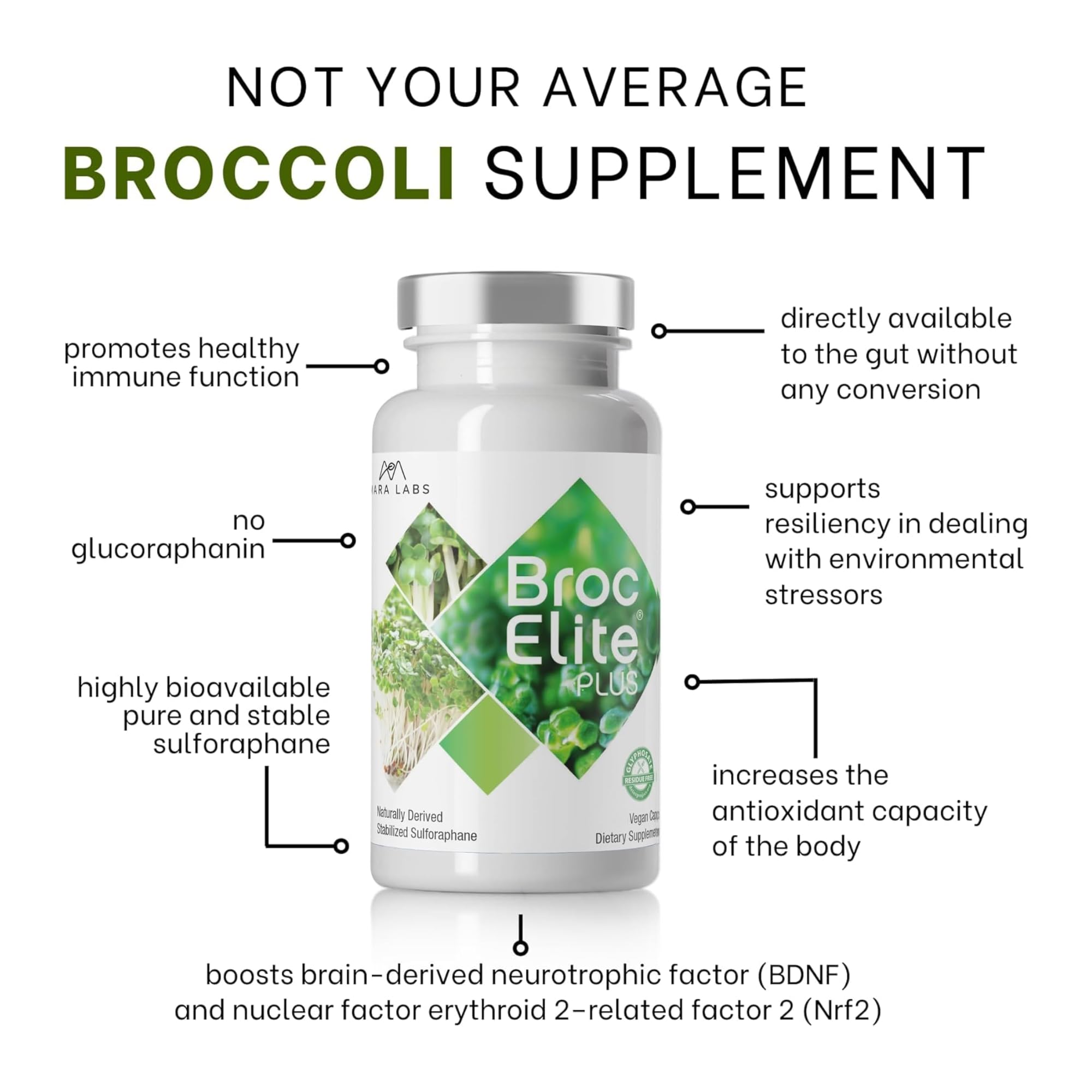 BrocElite Plus by Mara Labs – Stabilized Sulforaphane Broccoli Supplement, Glyphosate-Free, 60 Veg Capsules