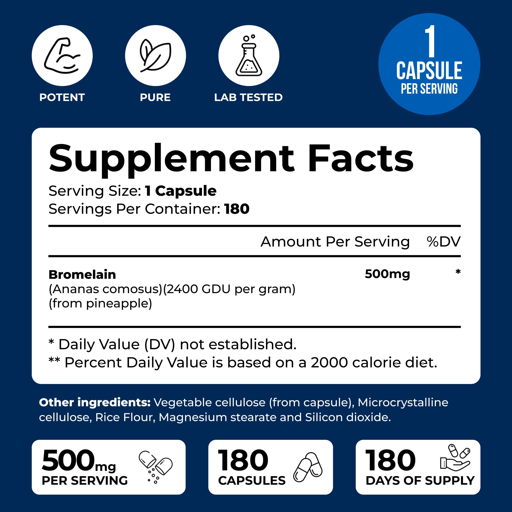 We Like Vitamins Bromelain 500mg Capsules – 180 Count | 2400 GDU/g Digestive Support