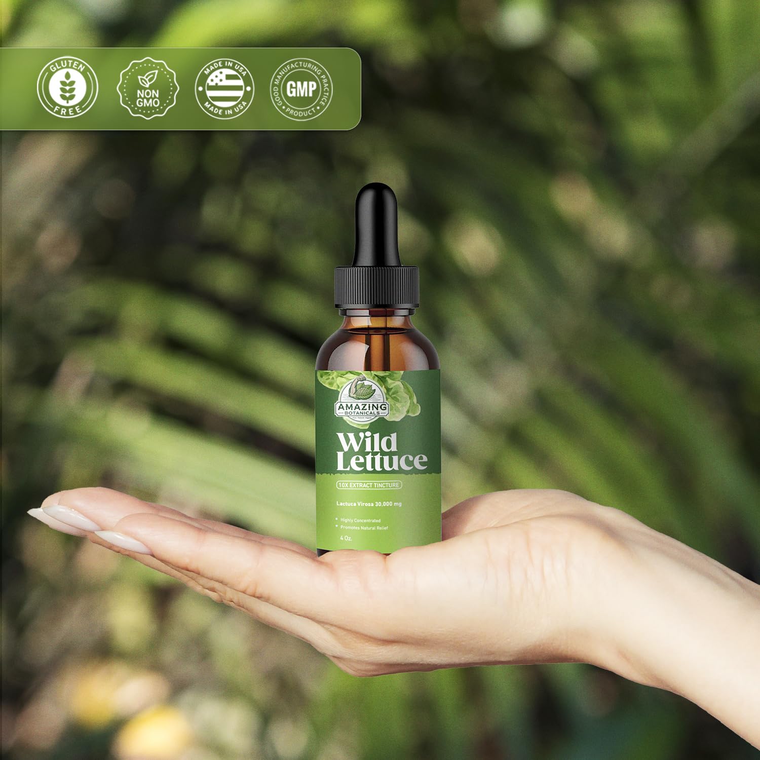 Amazing Botanicals Alcohol-Free Wild Lettuce Tincture 30,000 mg | 4 oz Bulk
