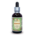 Herbal Terra Burdock Glycerite 2 oz - Organic Dried Root, Alcohol-Free