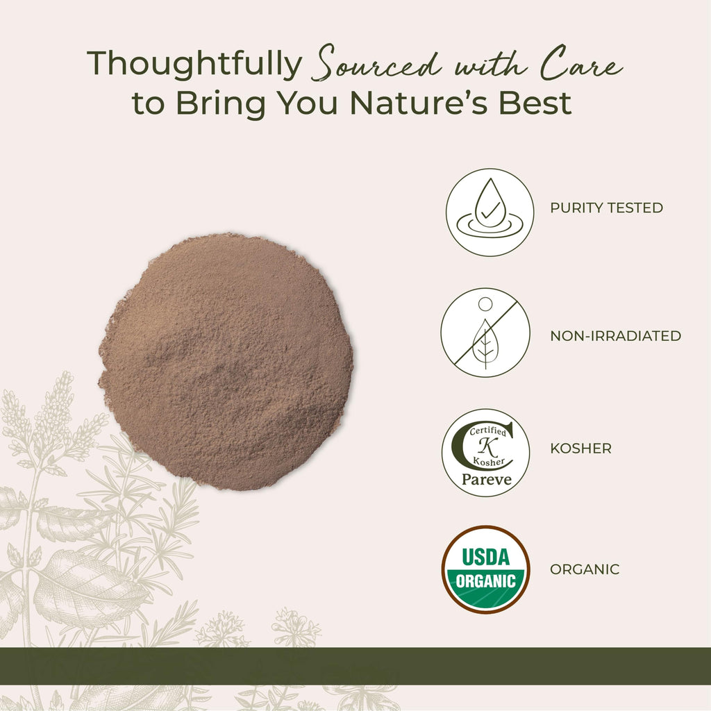 Starwest Botanicals Burdock Root Powder Organic - Non-GMO, Kosher, Antioxidant-Rich, 1 lb Bulk