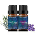 BURIBURI Eucalyptus & Lavender Essential Oil Set 2 Pack – 100% Pure