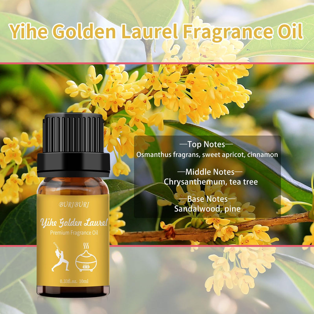 BURIBURI Hotel Scent Essential Oil – Yihe Golden Laurel | Luxury Hotel Fragrance & Diffuser Oil
