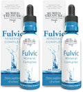 Buried Treasure Fulvic Mineral Drops – 295mg Trace Minerals, Ionic Fulvic Acid (2 fl oz, Pack of 2)
