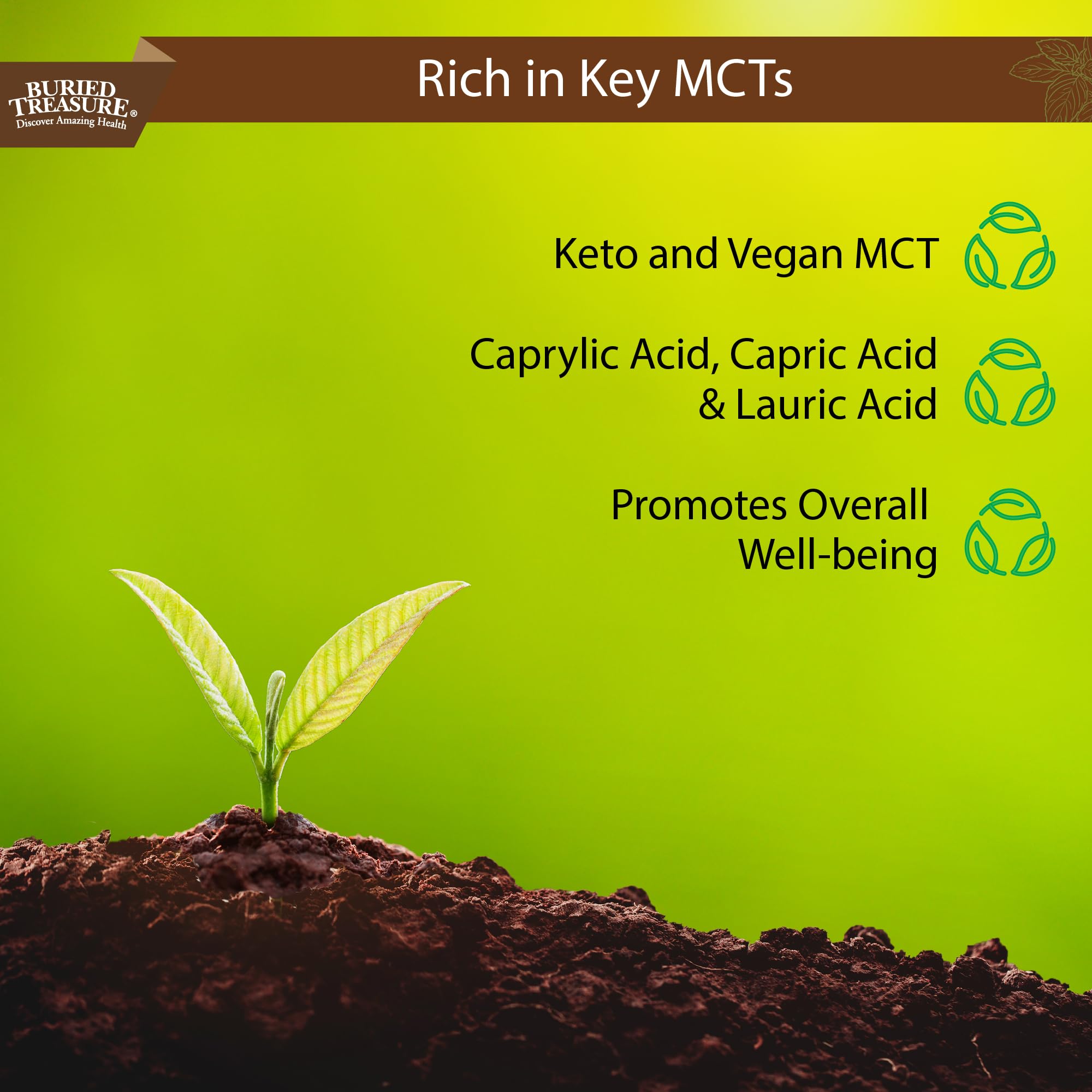 Buried Treasure MCT Coconut Oil - 16.54 Fl Oz (Pack of 1) | Cold-Pressed MCT Oil