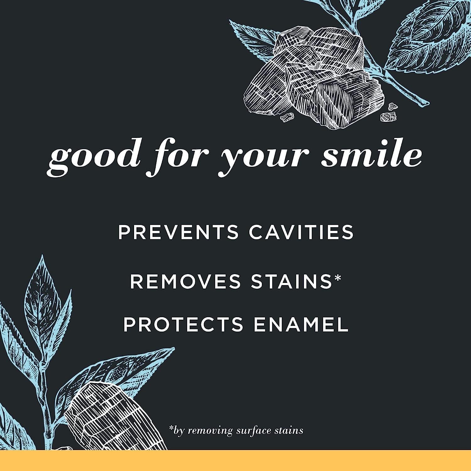 Burt's Bees Charcoal Toothpaste with Fluoride – Mountain Mint, 3 x 4.7 oz (SLS-Free, Not Tested on Animals)