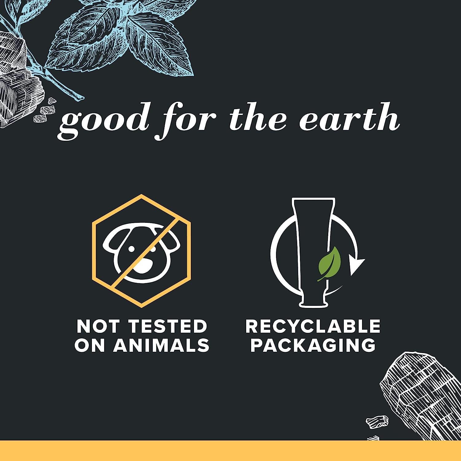 Burt's Bees Charcoal Toothpaste with Fluoride – Mountain Mint, 3 x 4.7 oz (SLS-Free, Not Tested on Animals)
