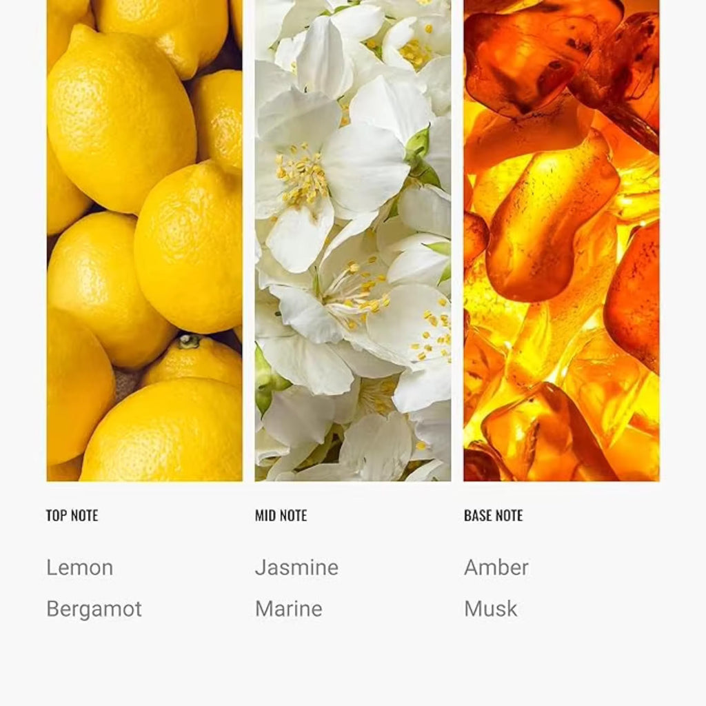 Cabana Diffuser Oil 50mL - Ritz-Carlton Inspired Luxury Aromatherapy | Lemon, Bergamot, Jasmine, Amber & Musk