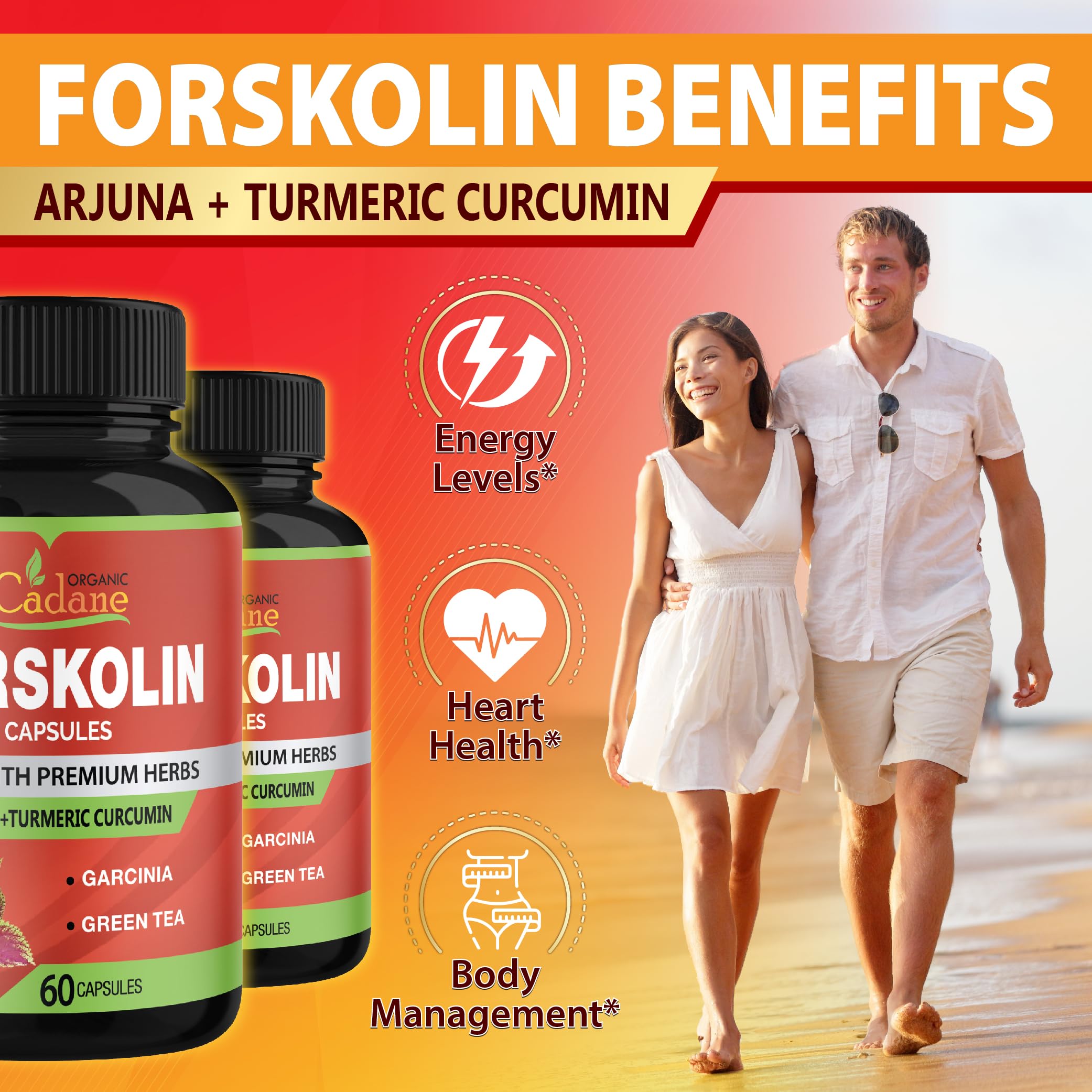 Cadane Forskolin Capsules – 2 Packs with Turmeric, Arjuna, Garcinia Cambogia & Green Tea | 4 Months Supply