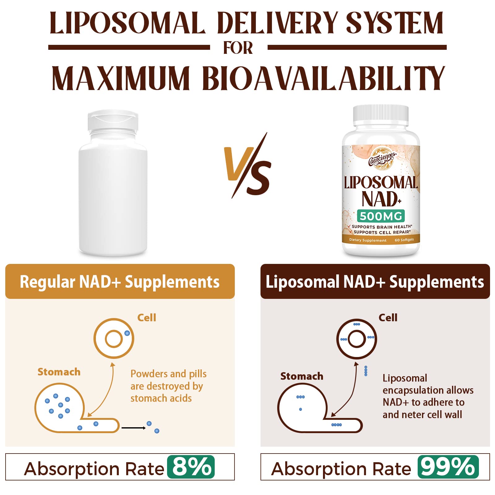 Caenciennes Liposomal NAD+ 500 mg — True NAD+ with Superior Absorption