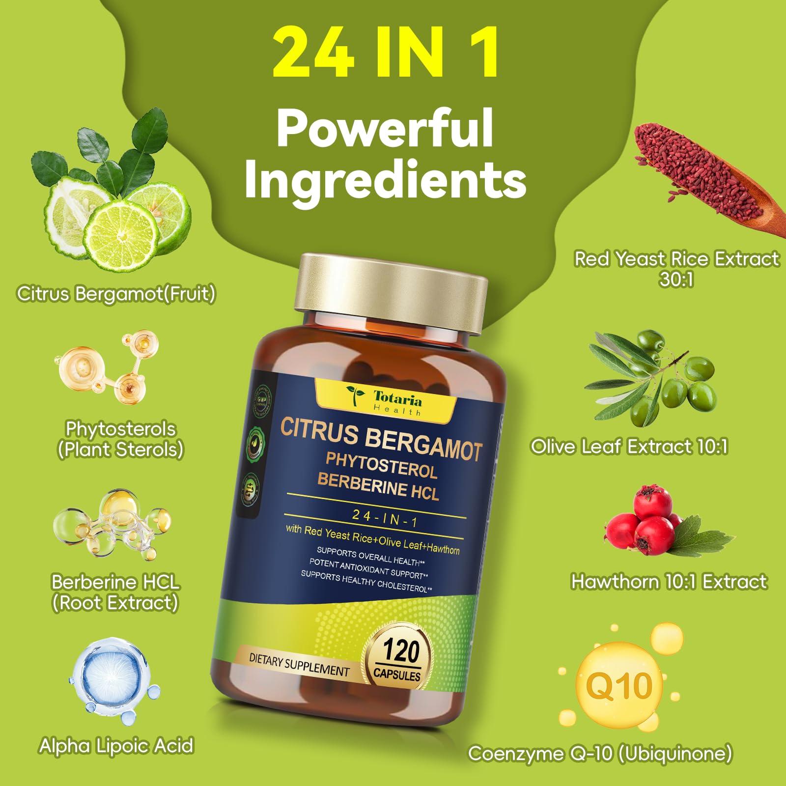2 Pack Citrus Bergamot 10,000mg for Heart Health – Vegan, Non-GMO