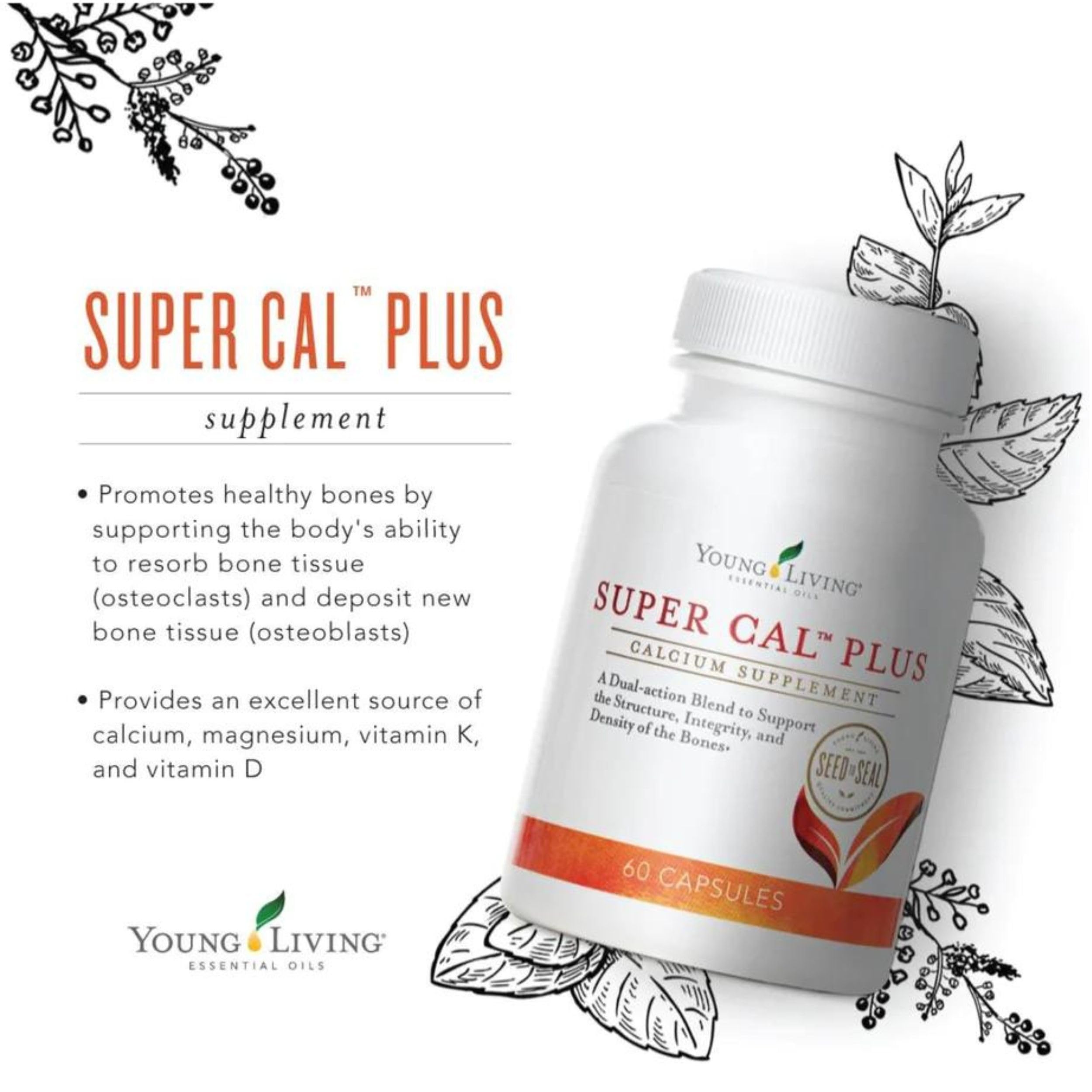 Young Living Super Cal Plus 60 Capsules | Calcium, Magnesium & Vitamins D & K for Bone Health