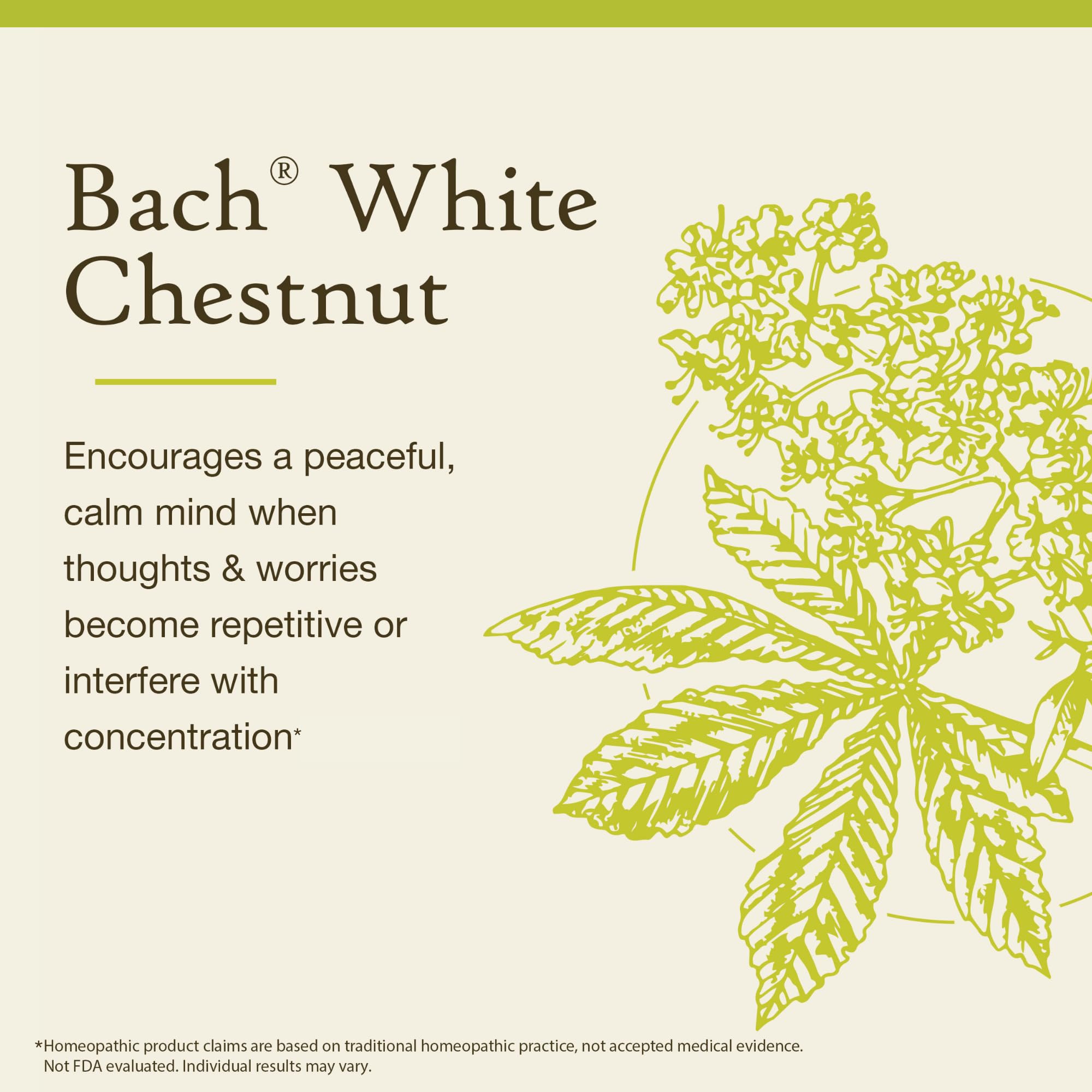 Bach White Chestnut Flower Remedy – Calm the Mind (20mL Dropper) | Vegan, Gluten Free