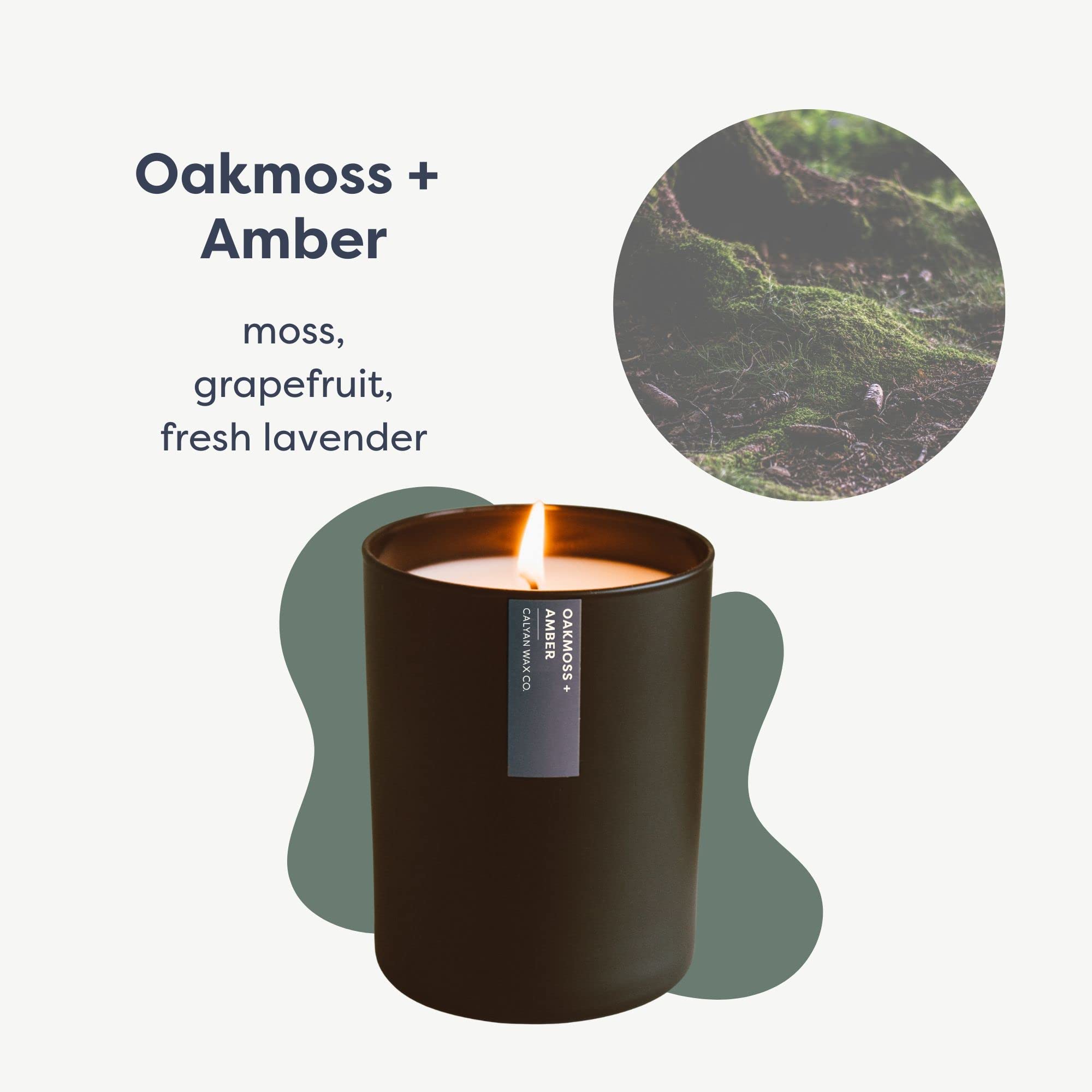 Calyan Wax Co. Oakmoss & Amber Candle – 75 Hour Burn | Non-Toxic Soy | Black Tumbler Jar | 10.2oz