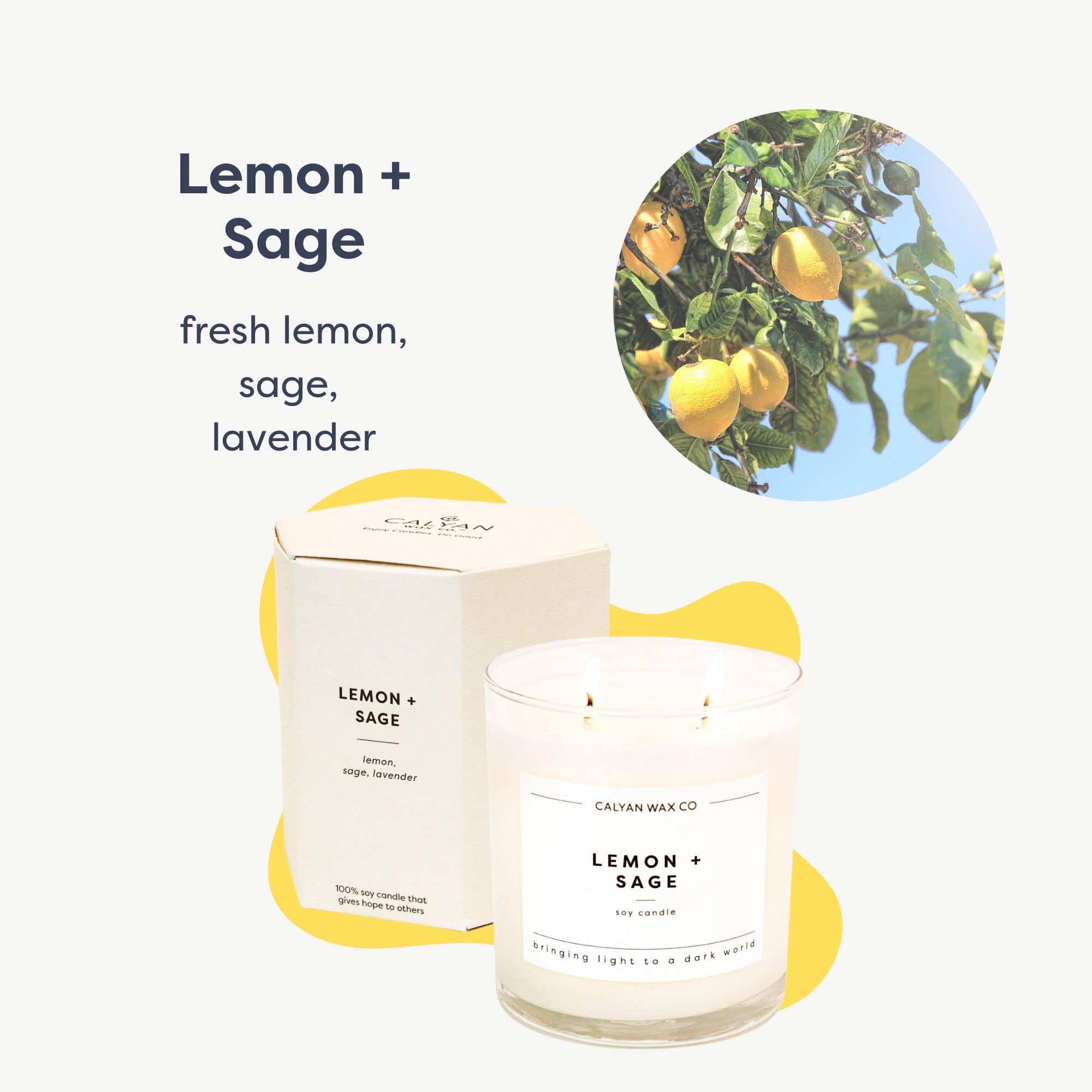 Calyan Wax Co. Lemon & Sage 2 Wick Candle | 37 Hour Burn | Non-Toxic Soy | 8.8oz