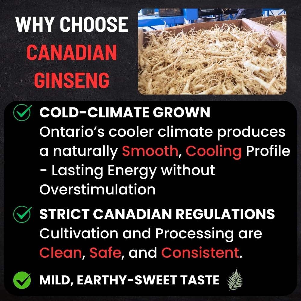Canadian Vita Ginseng Root Slices – Premium Ontario Dried Ginseng for Tea & Energy
