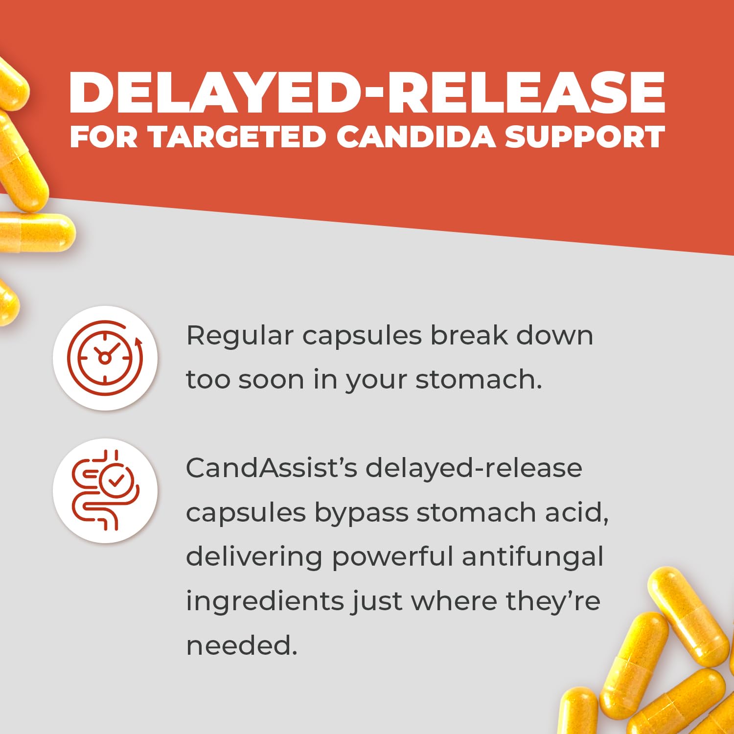 CandAssist Balance ONE Candida Support – Caprylic Acid, Berberine & Oregano