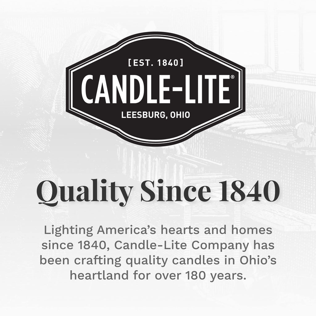 Candle-Lite Cinnamon Rolls 18 oz Brown Aromatherapy Candle
