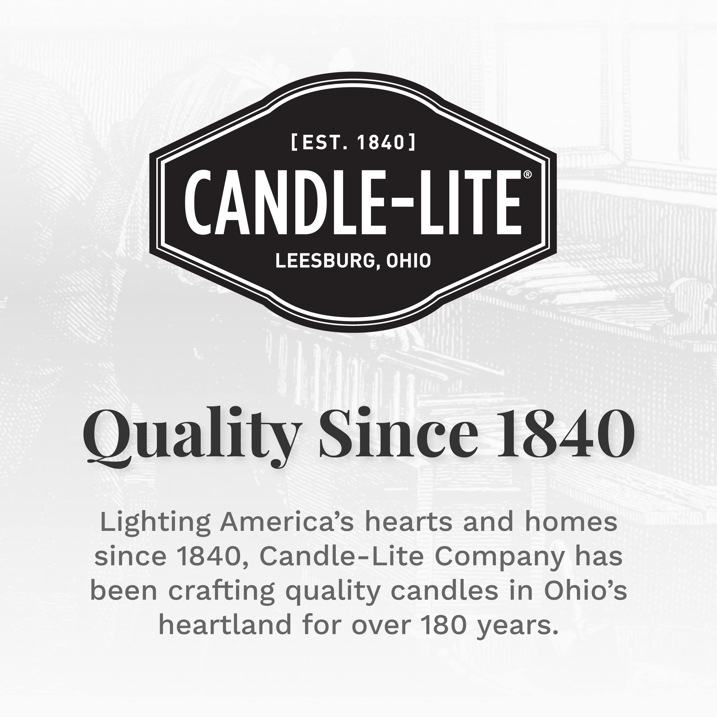 Candle-Lite Cinnamon Rolls 18 oz Brown Aromatherapy Candle