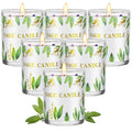 6 Pack Sage Candles for Cleansing Your Home | Crystal Healing Stones