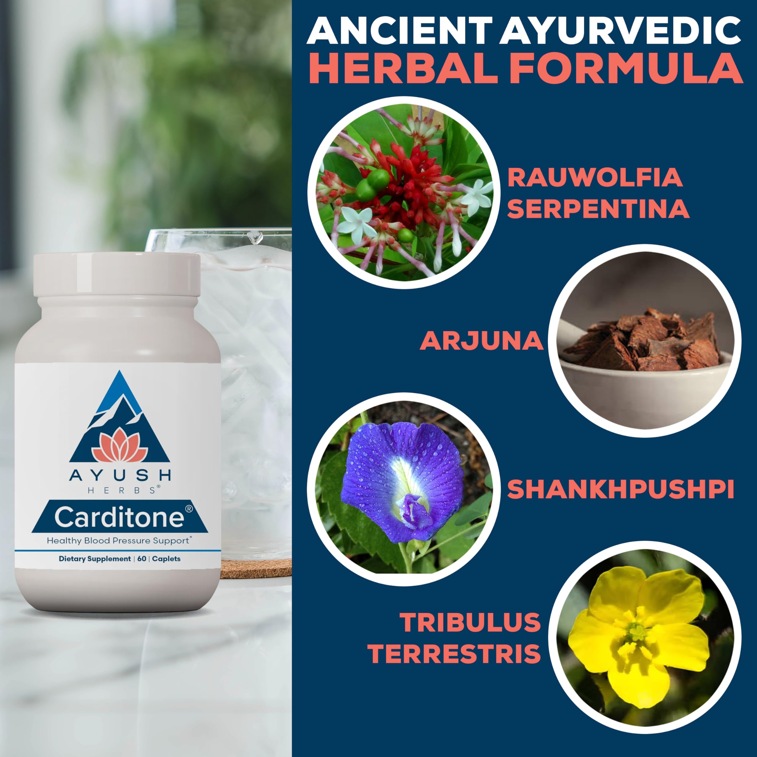 Ayush Herbs Carditone – Natural Heart Health Supplement with Rauwolfia, Arjuna, Calcium & Magnesium | 60 Vegetarian Caplets