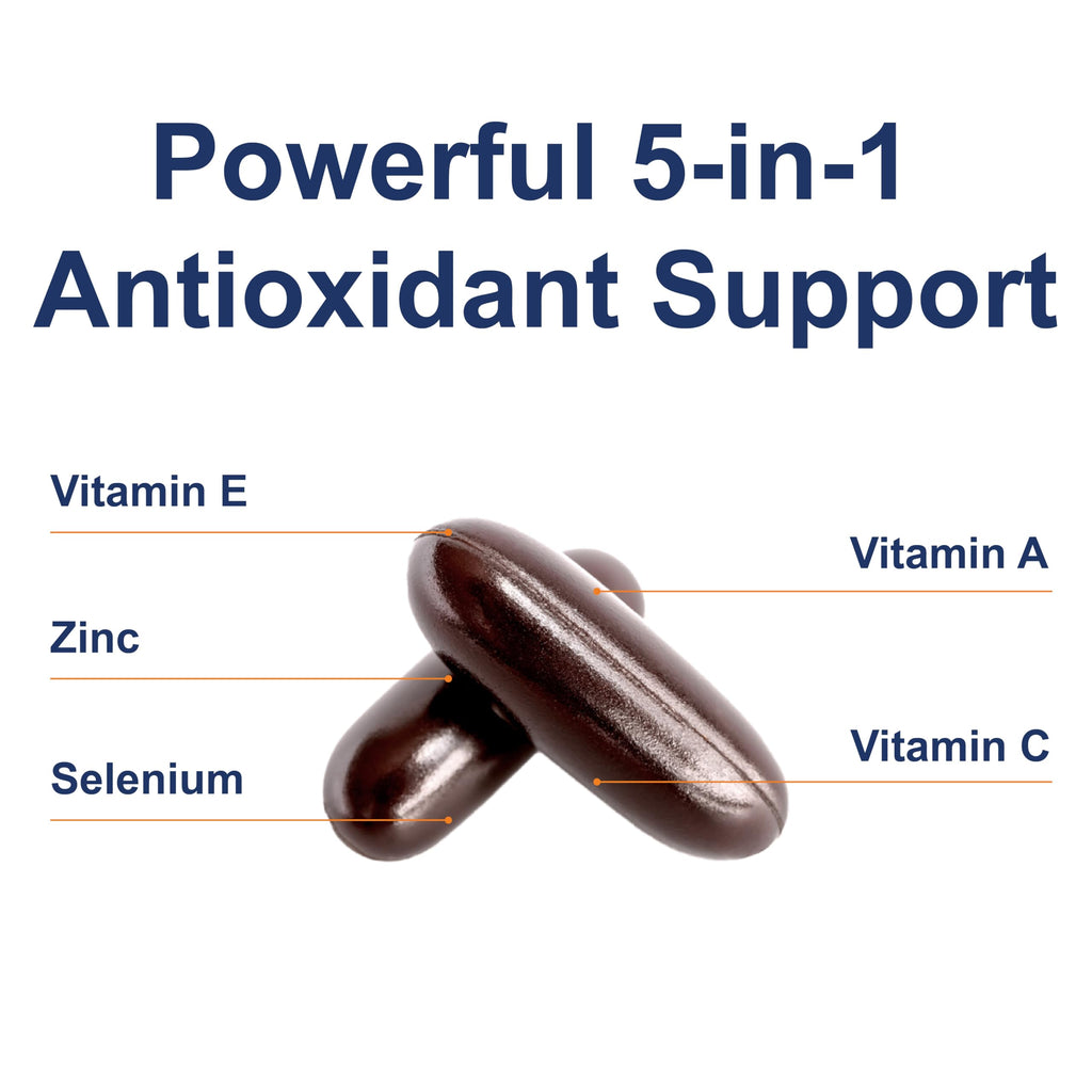 Carlson ACES + Zn Multivitamin with Zinc – Immune Support, Antioxidants, 360 Softgels