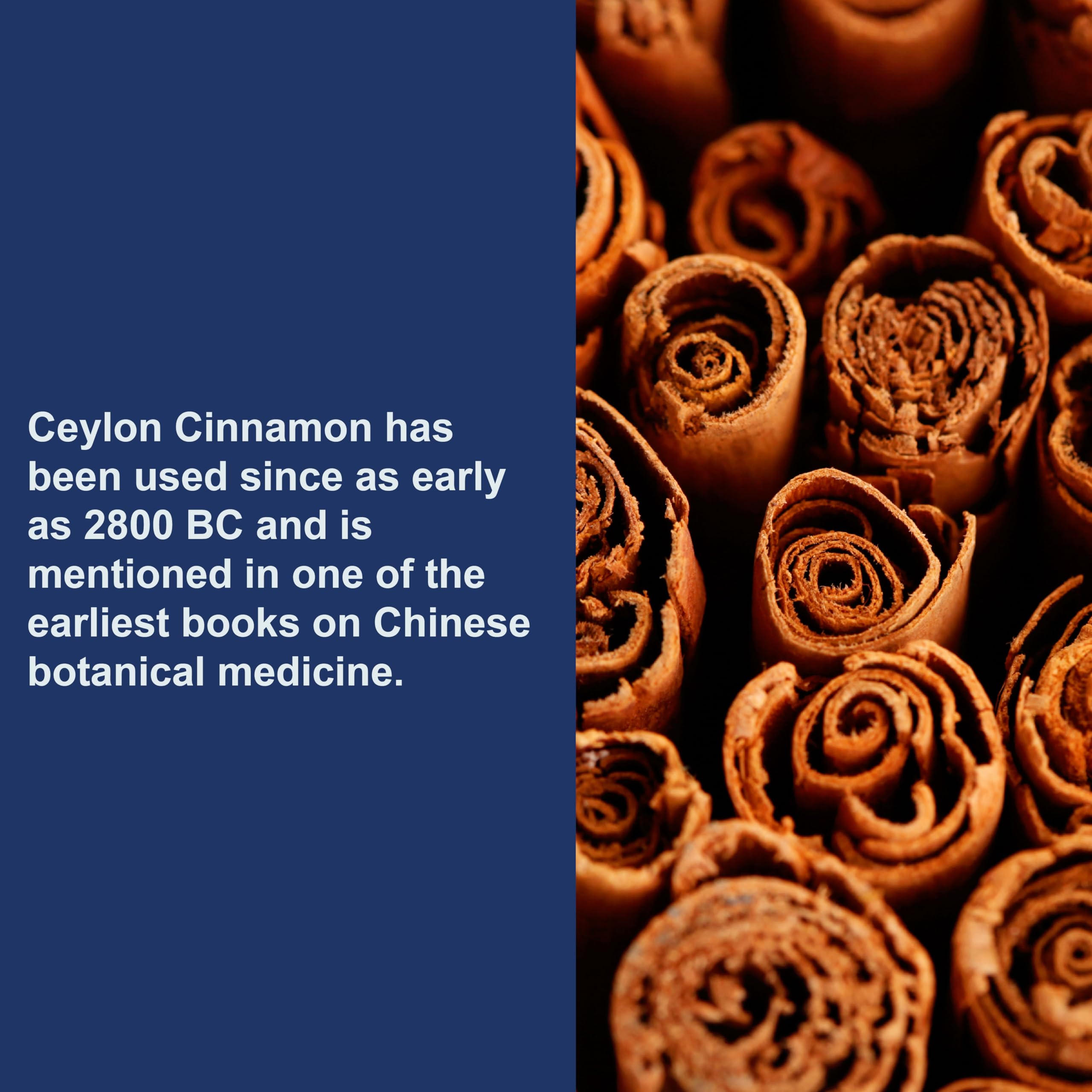 Carlson Ceylon Cinnamon Capsules - 500 mg, 180 ct | True Cinnamon Extract