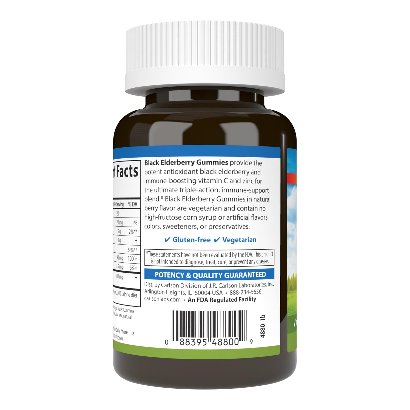 Carlson Black Elderberry Gummies with Vitamin C & Zinc | Immune Support - 60 Gummies