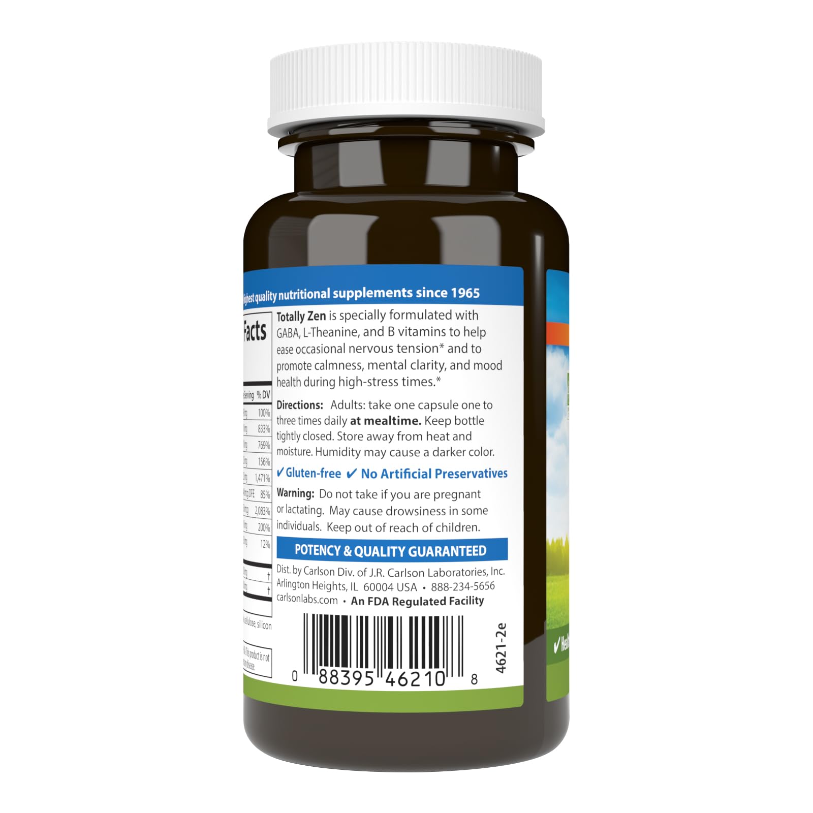 Carlson Totally Zen – GABA, L-Theanine & B Vitamins | Calm Mood & Mental Clarity | 60 Capsules