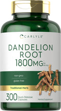 Carlyle Dandelion Root 1800mg – 300 Caps | Gluten Free & Non-GMO