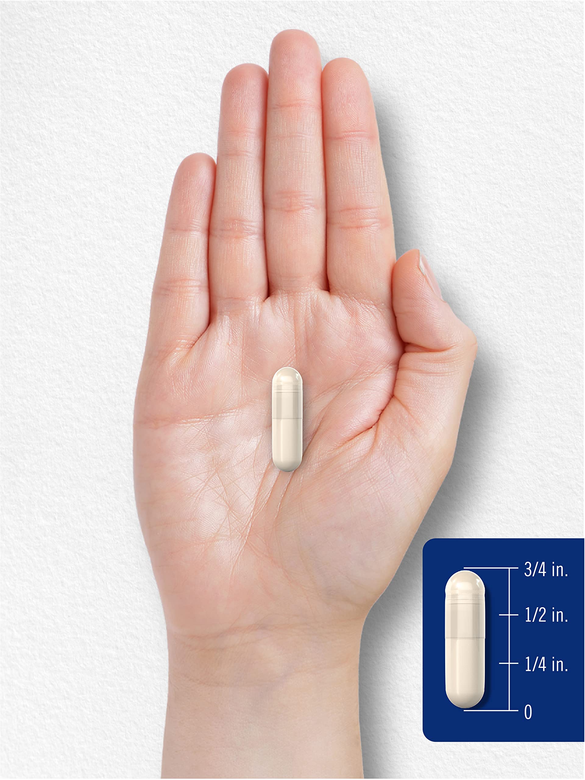 Carlyle DMG Supplement - 150 mg DMG, 180 Capsules | Non-GMO Gluten Free