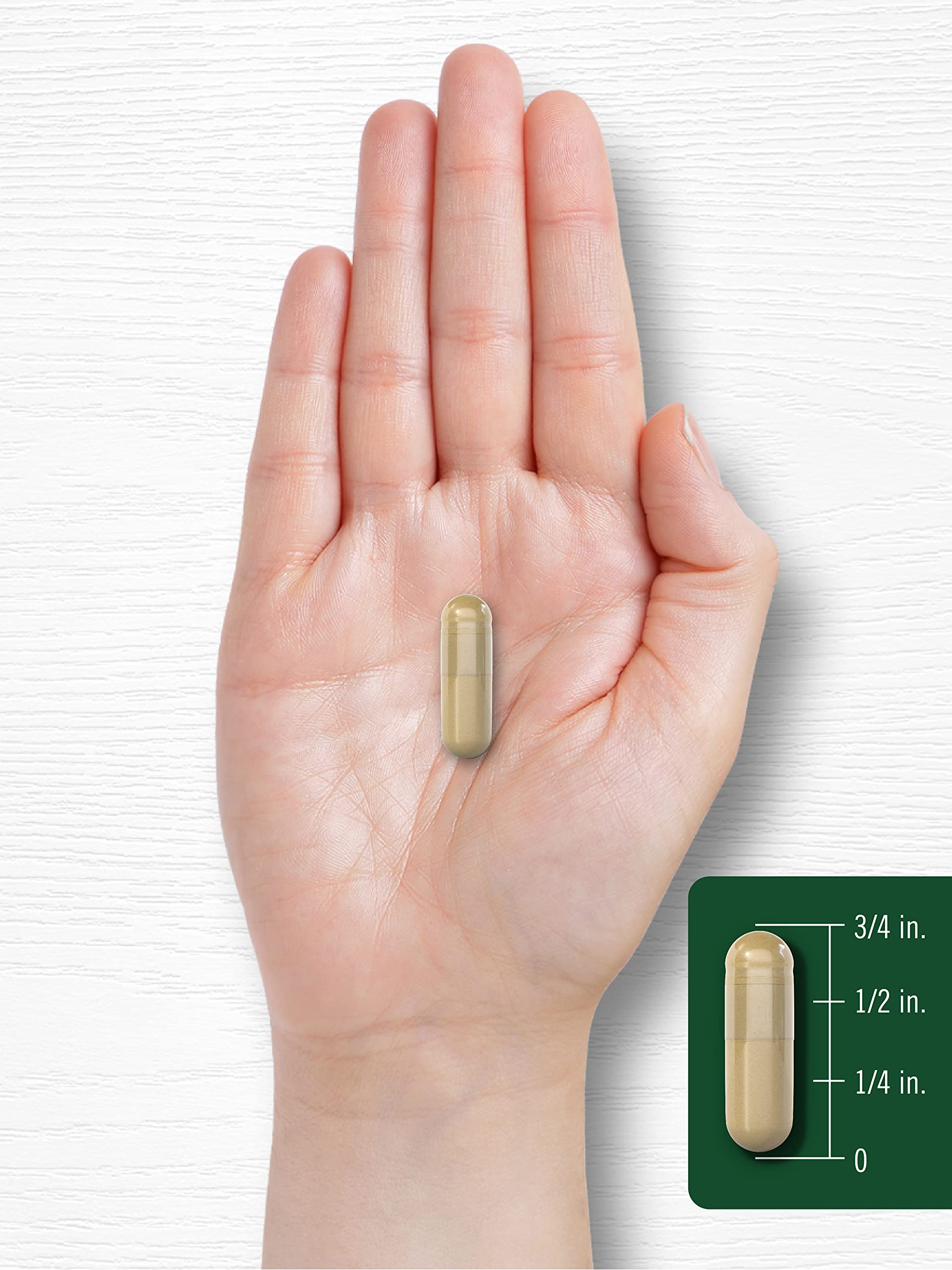 Carlyle Noni Capsules 3000mg – 240 Count | Non-GMO, Gluten Free