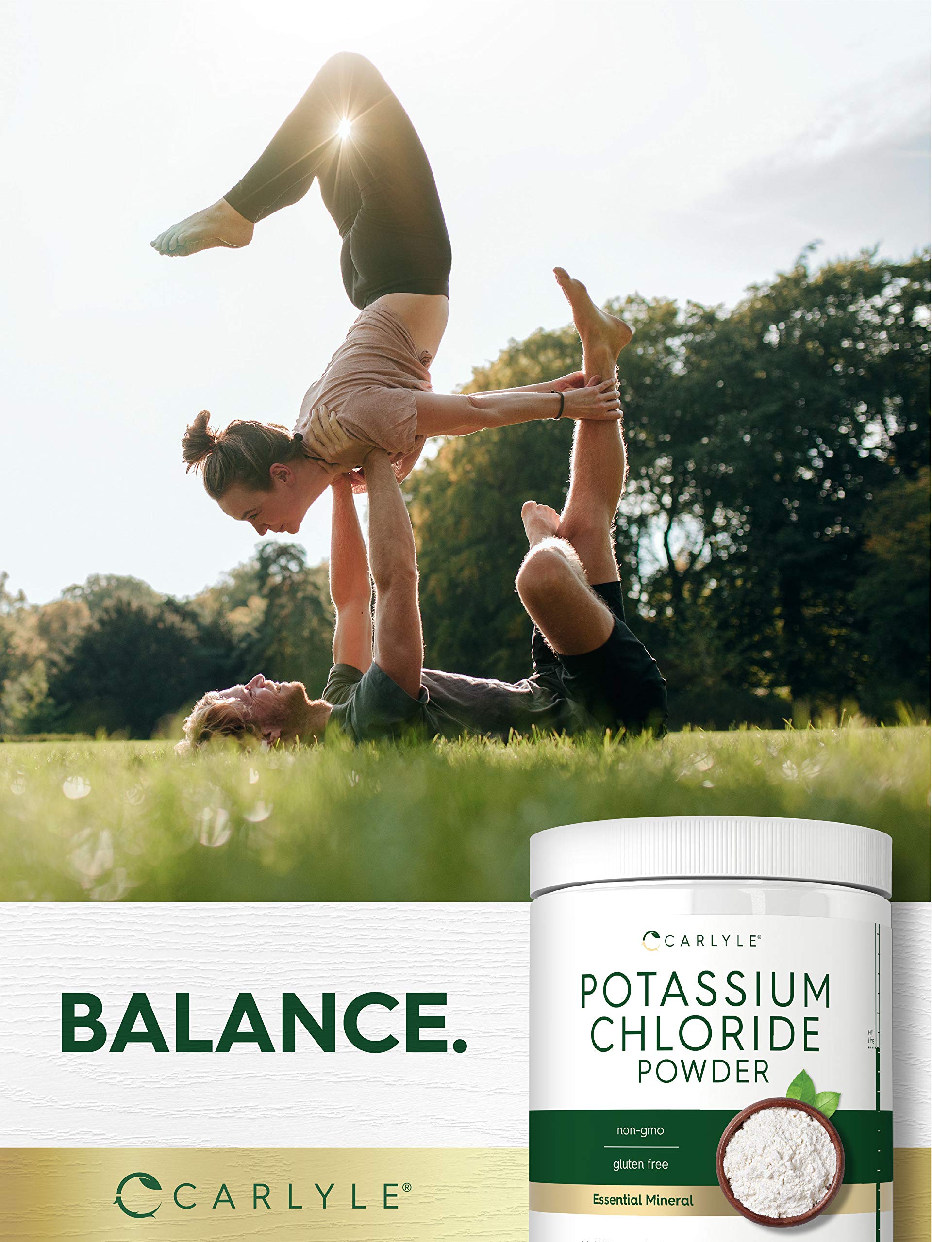 Potassium Chloride Powder 16 oz – Carlyle | Food Grade Salt Substitute, Vegan