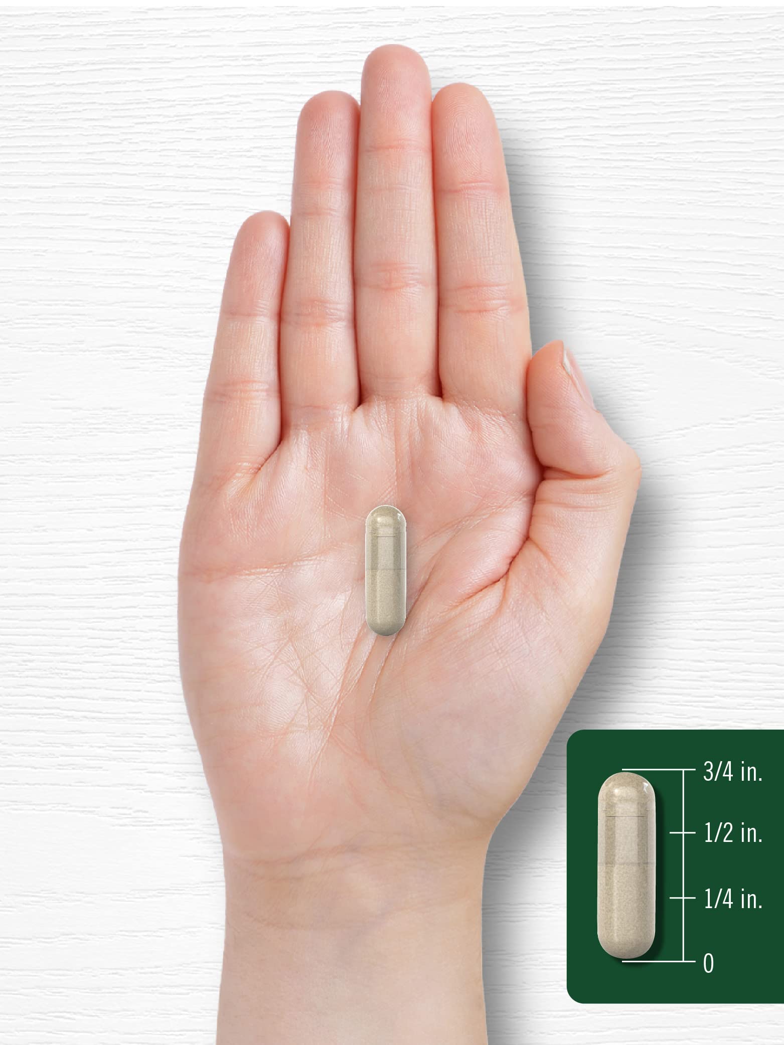 Carlyle Rosemary Capsules 1200mg | 200 Count | Non-GMO & Gluten-Free Extract