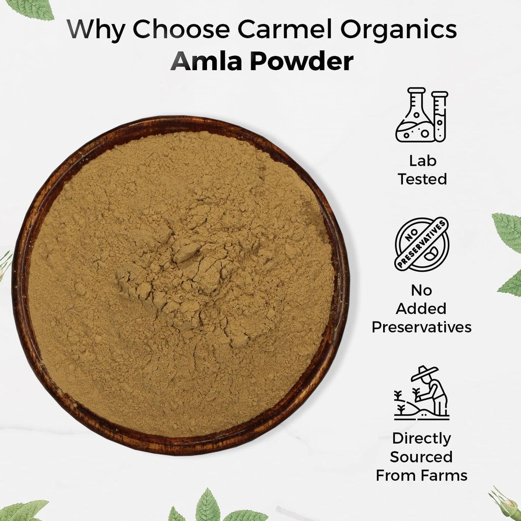 Carmel Organics Amla Powder (8 oz) – Hair & Skin Care, Wellness | Non-GMO