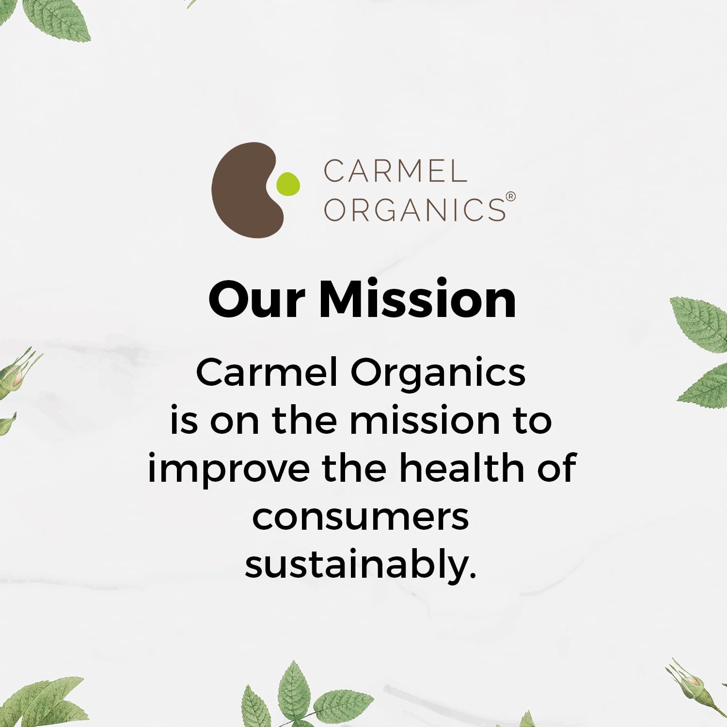Carmel Organics Triphala Powder (8 oz) for Digestive Support - No Preservatives | Harad, Baheda & Amla