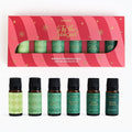 Carnatia Christmas Aroma Oil Set – 6 Cozy Scents for Diffusers, Relaxation & Holiday Gifting