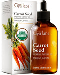 Gya Labs Carrot Seed Carrier Oil – 1 Fl Oz for Hair, Skin, Face & Body Massage