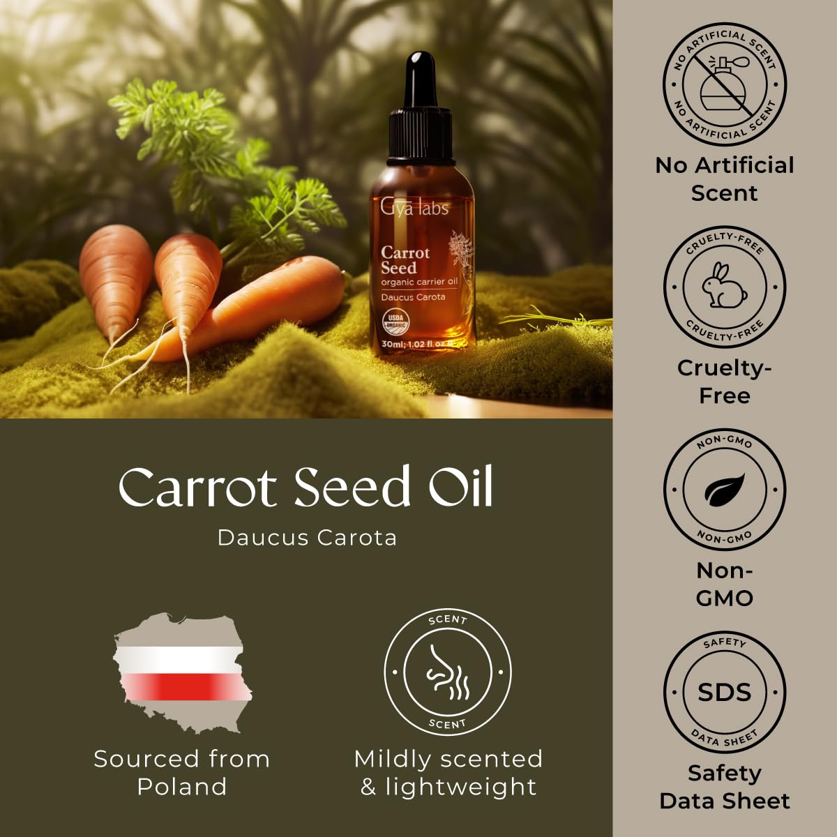 Gya Labs Carrot Seed Carrier Oil – 1 Fl Oz for Hair, Skin, Face & Body Massage