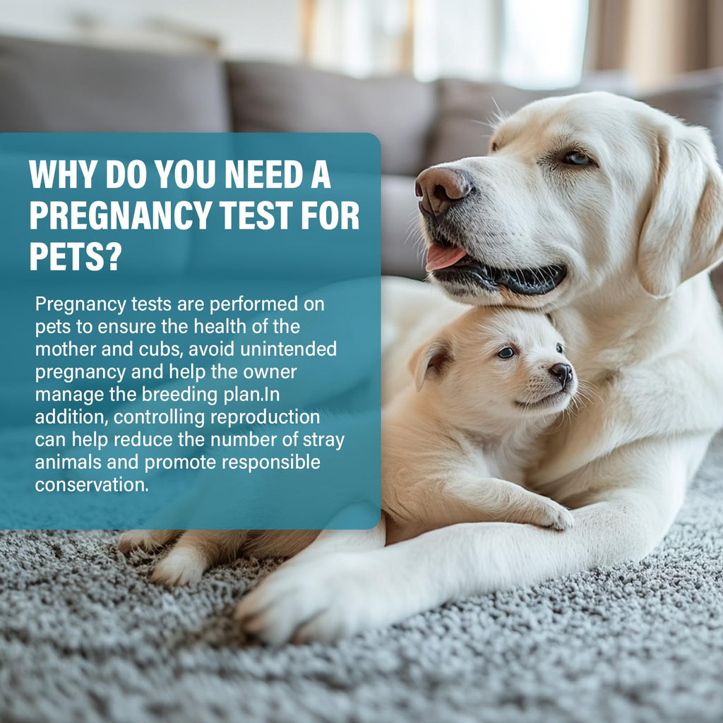 at-Home Dog Pregnancy Test Kit | 15-Minute Accurate Results | Easy Pregnancy Test Strips for Dogs & Cats | Safe Early Detection