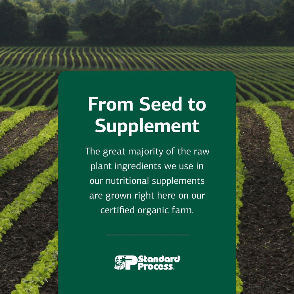 Standard Process Cataplex B – Whole-Food B-Complex for Heart, Metabolism & Cholesterol Support | 360 Tablets