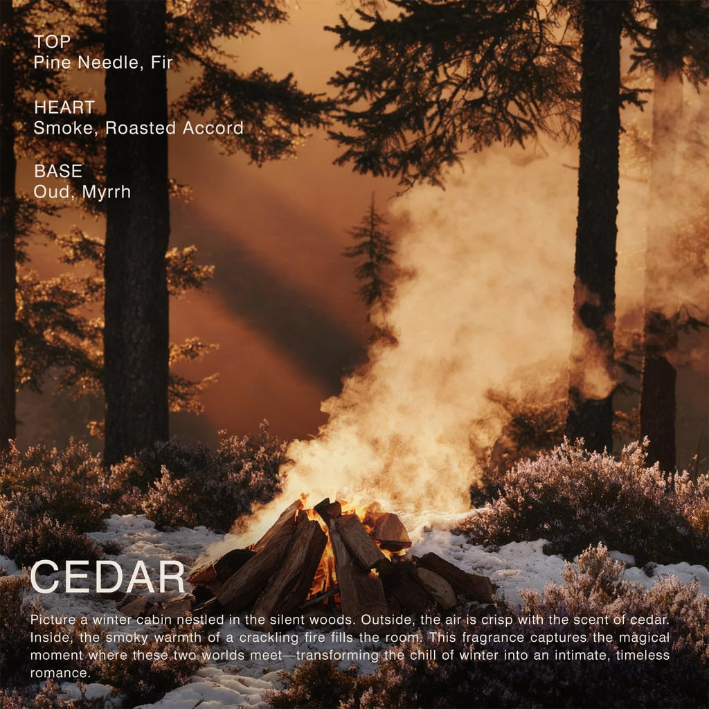 Cedar Candle - Rich Smoky Cedar & Dry Wood for Cozy Winter Nights | The Fire