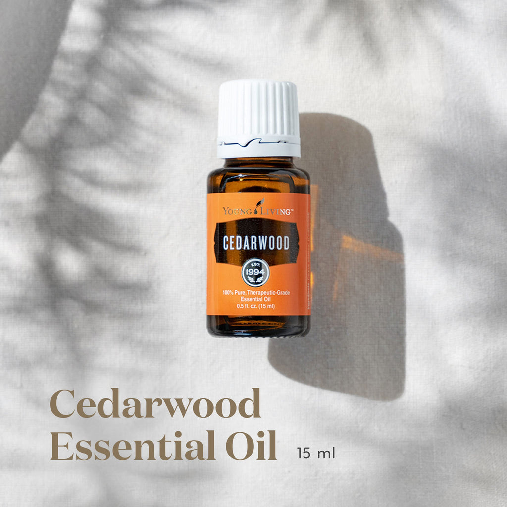 Cedarwood Essential Oil 15ml – Calming, Nourishing for Skin, Hair & Scalp | Young Living