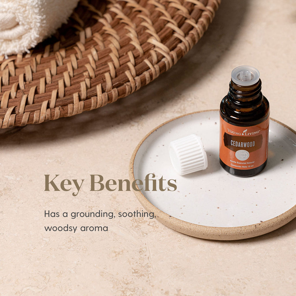 Cedarwood Essential Oil 15ml – Calming, Nourishing for Skin, Hair & Scalp | Young Living