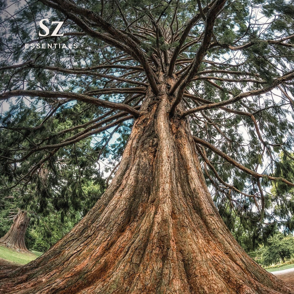 Sz Essentials - Cedarwood Essential Oil (Cedrus atlantica) – Therapeutic Grade, 100% Pure & Natural, 5ml (0.17 fl oz)